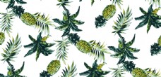 欧式花纹背景菠萝图片