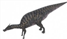C4D模型恐龙图片