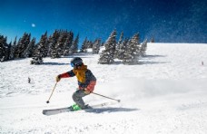 树木滑雪图片