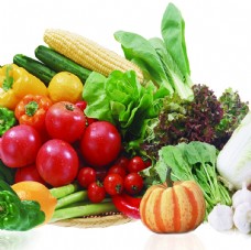 蔬菜展板蔬菜图片