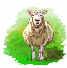 psd素材绵羊插画素材图片