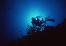深海潜水图片