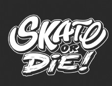 skateordie滑或死图片