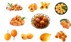 枇杷水果图片