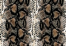 欧式花纹背景蛇纹皮图片