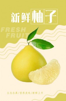 高清海报柚子海报图片