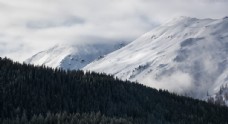 木材雪山图片