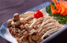 茶火锅菌类配菜图片