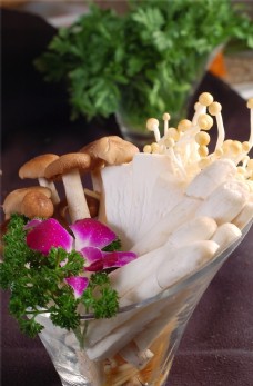 展板火锅菌类配菜图片