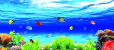 自然景观鱼缸背景图片