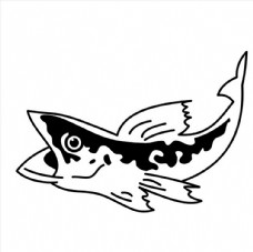 黑鱼怎么画铅笔画图片