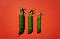 绿色蔬菜青豌豆图片