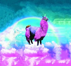 欧式花纹背景彩虹羊驼图片