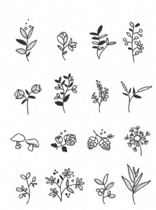 植物花卉线稿图图片