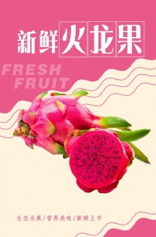 水果展板火龙果海报图片