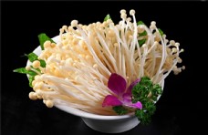 蔬菜饮食火锅菌类配菜图片