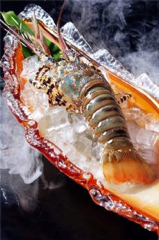 餐饮海鲜生鲜图片