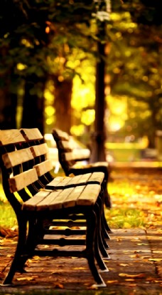 景观设计秋日树阴座椅风景油画图片