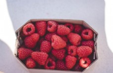 创意画册树莓图片