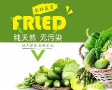 绿色蔬菜蔬菜海报图片