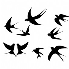 鸟燕子矢量图片