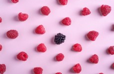 创意画册红莓图片