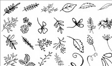 欧式花纹背景手绘植物背景图片