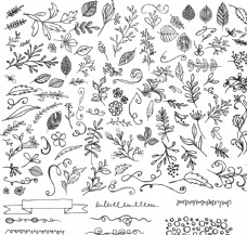 欧美手绘植物背景图片