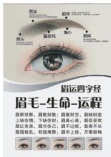 纹绣眉毛运程图片