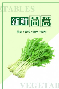 绿色蔬菜茼蒿海报图片