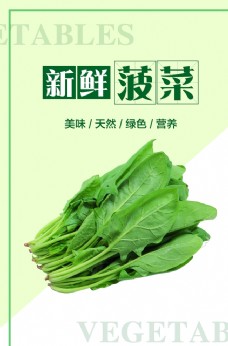 中国风设计菠菜海报图片