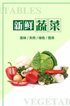 绿色食品新鲜蔬菜图片