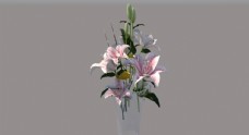 花艺玻璃花瓶花瓶植物图片
