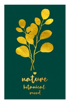 黄色背景植物装饰画图片