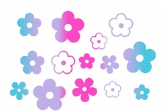 菊菊花花朵图片