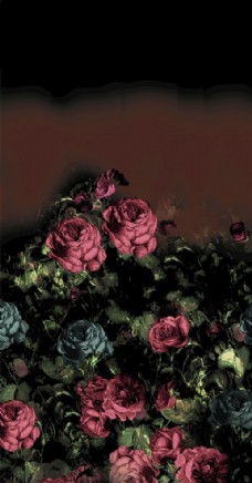 潮流素材复古定位玫瑰图片