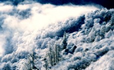 黄色背景冬雪风景油画图片