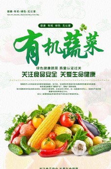 创意海报蔬菜图片