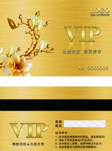 卡片VIP卡图片