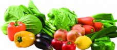 绿色花蔬菜合集透明免抠图片