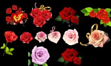 PSD素材玫瑰花素材图片
