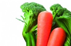 绿色蔬菜胡萝卜蔬菜花椰菜青椒免抠素材图片