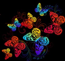 欧式花纹背景蝴蝶图片