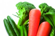 蔬菜黄瓜胡萝卜花椰菜透明免抠图片
