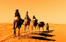 沙漠中的骆驼运输队图片