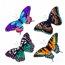 背景图蝴蝶昆虫动物图片