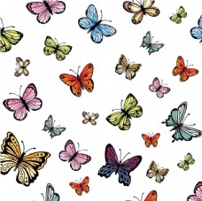 水彩画蝴蝶昆虫动物图片