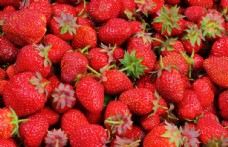 展板草莓图片