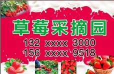 新鲜水果海报草莓采摘园图片