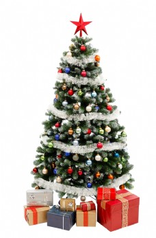 圣诞节圣诞树png图片